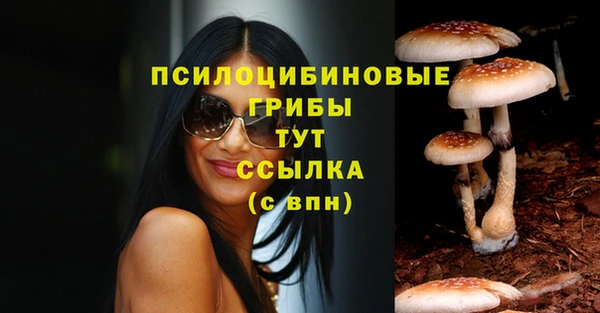 круглые Краснослободск
