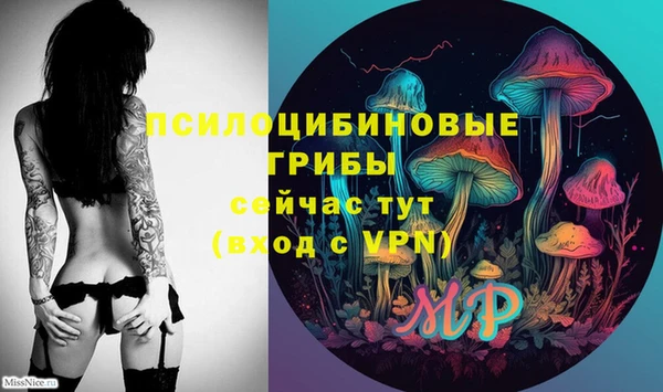круглые Краснослободск