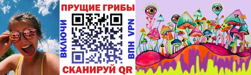 Галлюциногенные грибы прущие грибы  дарнет шоп  Куртамыш 